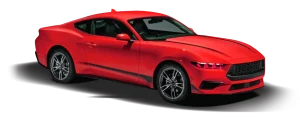 FULL-BODAY-PPF-1-1024x407