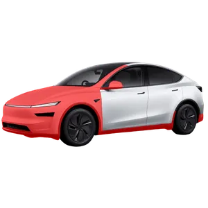 Track Package PPF Tesla